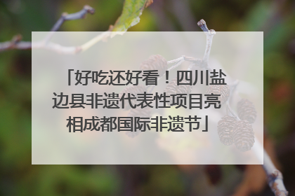 好吃还好看！四川盐边县非遗代表性项目亮相成都国际非遗节