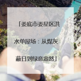 娄底市娄星区洪水单屋场：从煤灰蔽日到绿意盎然