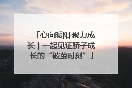心向暖阳·聚力成长｜一起见证骄子成长的“破茧时刻”