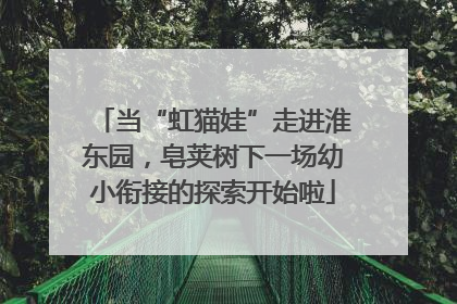 当“虹猫娃”走进淮东园，皂荚树下一场幼小衔接的探索开始啦