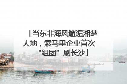 当东非海风邂逅湘楚大地，索马里企业首次“组团”刷长沙