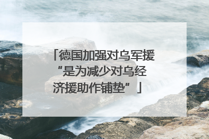 德国加强对乌军援 “是为减少对乌经济援助作铺垫”