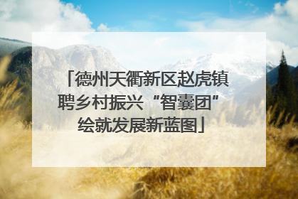 德州天衢新区赵虎镇聘乡村振兴“智囊团” 绘就发展新蓝图