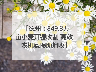 德州：849.3万亩小麦开镰收割 高效农机减损助增收