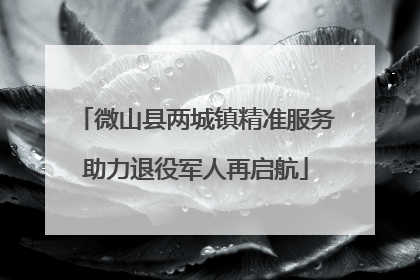 微山县两城镇精准服务助力退役军人再启航