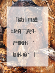 微山县驩城镇三夏生产跑出 “加速度”