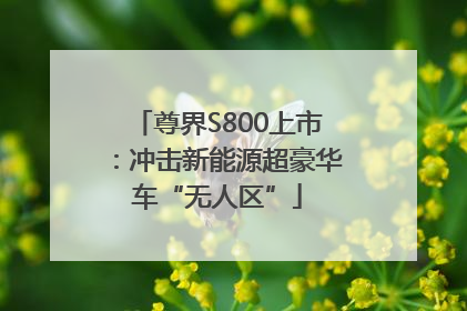 尊界S800上市：冲击新能源超豪华车“无人区”