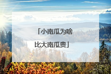 小南瓜为啥比大南瓜贵