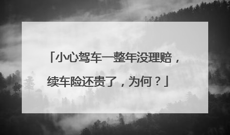 小心驾车一整年没理赔，续车险还贵了，为何？