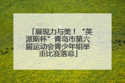 展现力与美！“英派斯杯”青岛市第六届运动会青少年组举重比赛落幕