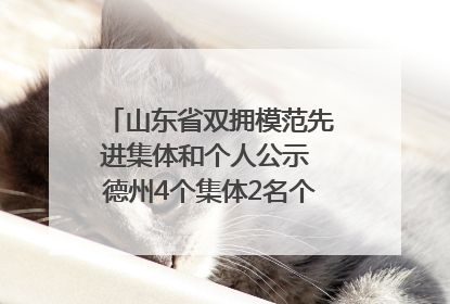 山东省双拥模范先进集体和个人公示 德州4个集体2名个人拟受表彰