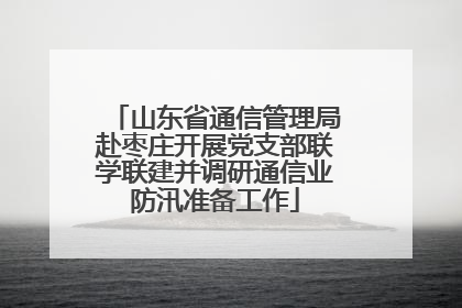 山东省通信管理局赴枣庄开展党支部联学联建并调研通信业防汛准备工作