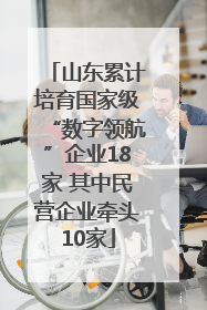 山东累计培育国家级“数字领航”企业18家 其中民营企业牵头10家