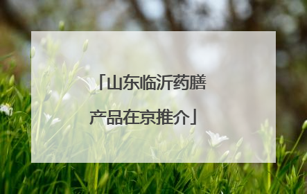 山东临沂药膳产品在京推介