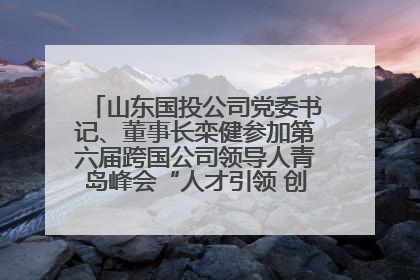 山东国投公司党委书记、董事长栾健参加第六届跨国公司领导人青岛峰会“人才引领 创新驱动”人力资源高质量发展对话会