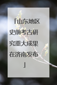 山东地区史前考古研究重大成果在济南发布