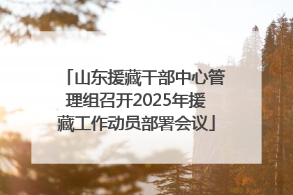 山东援藏干部中心管理组召开2025年援藏工作动员部署会议