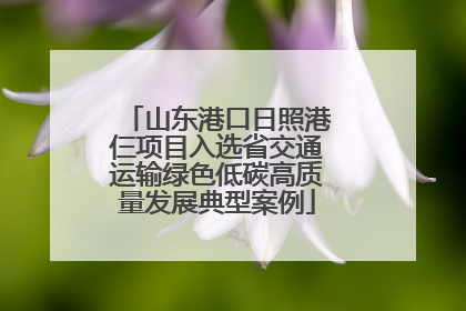 山东港口日照港仨项目入选省交通运输绿色低碳高质量发展典型案例
