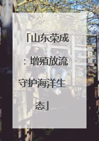 山东荣成：增殖放流守护海洋生态