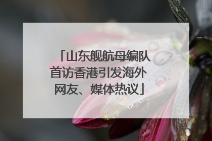 山东舰航母编队首访香港引发海外网友、媒体热议