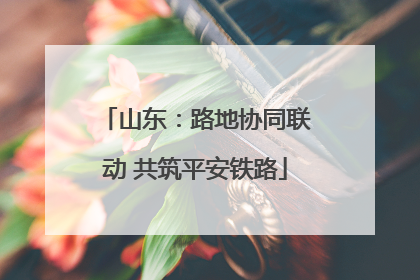 山东：路地协同联动 共筑平安铁路
