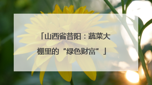 山西省昔阳：蔬菜大棚里的“绿色财富”