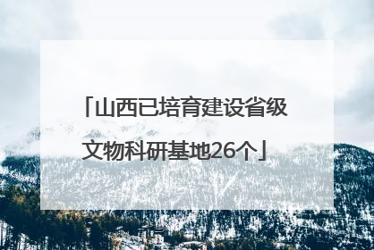 山西已培育建设省级文物科研基地26个