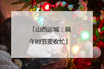 山西运城：端午时节麦收忙