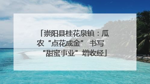 崇阳县桂花泉镇：瓜农“点花成金” 书写“甜蜜事业”增收经