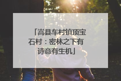 嵩县车村镇顶宝石村：密林之下有诗意有生机