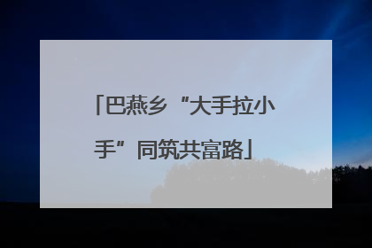 巴燕乡“大手拉小手”同筑共富路