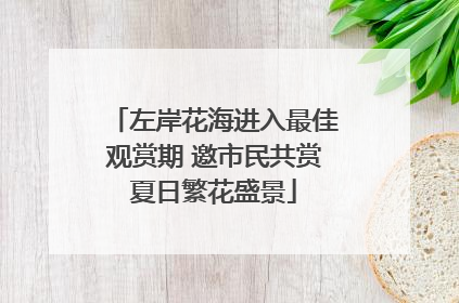 左岸花海进入最佳观赏期 邀市民共赏夏日繁花盛景