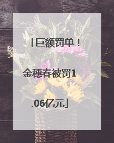 巨额罚单！金穗春被罚1.06亿元