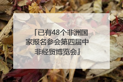 已有48个非洲国家报名参会第四届中非经贸博览会