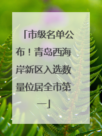 市级名单公布！青岛西海岸新区入选数量位居全市第一