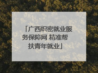 广西织密就业服务保障网 精准帮扶青年就业