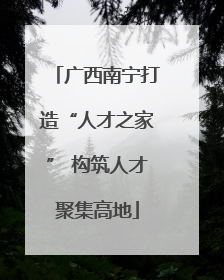广西南宁打造“人才之家” 构筑人才聚集高地
