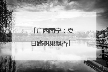 广西南宁：夏日路树果飘香