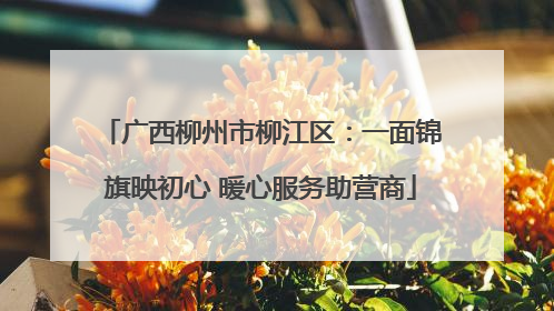 广西柳州市柳江区：一面锦旗映初心 暖心服务助营商