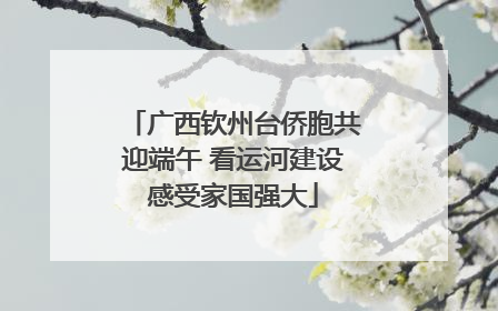 广西钦州台侨胞共迎端午 看运河建设感受家国强大