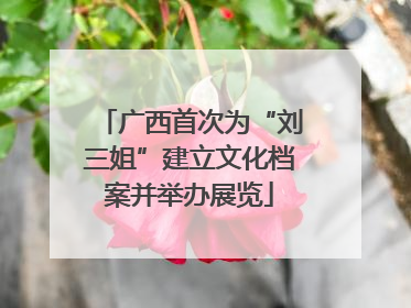 广西首次为“刘三姐”建立文化档案并举办展览