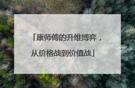 康师傅的升维博弈，从价格战到价值战