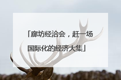 廊坊经洽会，赶一场国际化的经济大集