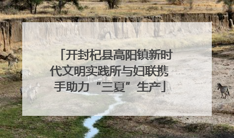开封杞县高阳镇新时代文明实践所与妇联携手助力“三夏”生产