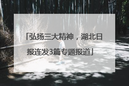 弘扬三大精神，湖北日报连发3篇专题报道