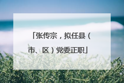 张传宗，拟任县（市、区）党委正职