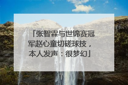 张智霖与世锦赛冠军赵心童切磋球技，本人发声：很梦幻