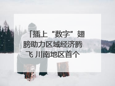 插上“数字”翅膀助力区域经济腾飞 川南地区首个智算中心启动