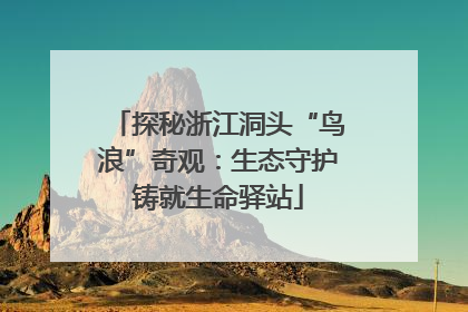 探秘浙江洞头“鸟浪”奇观：生态守护铸就生命驿站