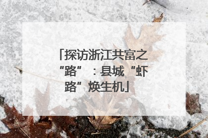 探访浙江共富之“路”：县城“虾路”焕生机